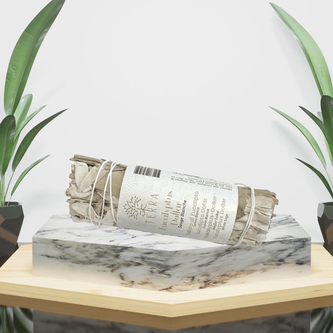 Sauge Blanche & Eucalyptus Dollar – Purification et Énergie Claire