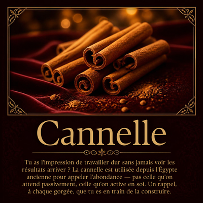 Cannelle