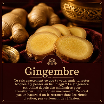 Gingembre
