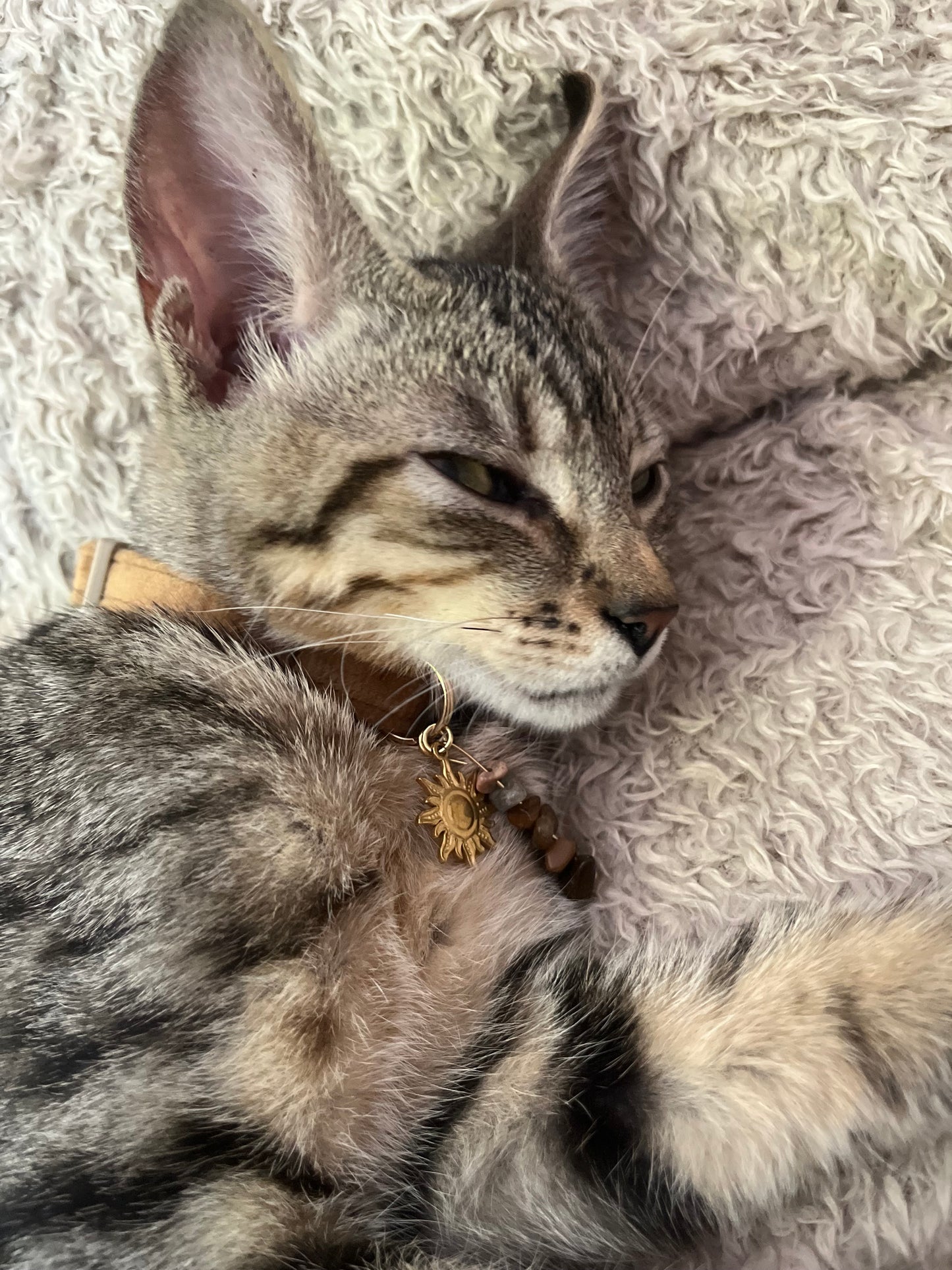 Collier chat – Œil de Tigre