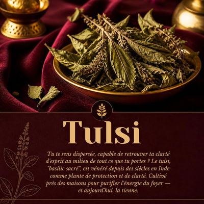 Tulsi