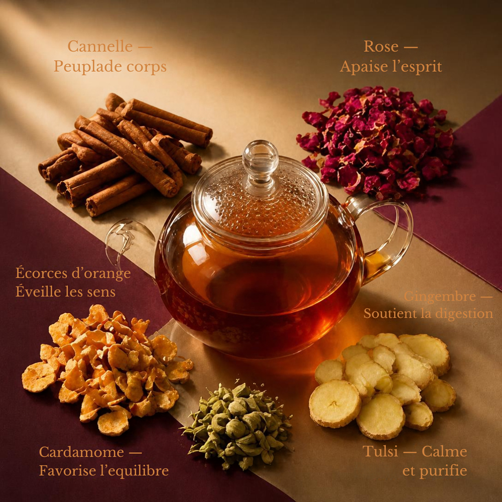 Infusion Manifeste et ses ingrédients
